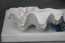 Load image into Gallery viewer, Shell Resin Stone Ruffled giant Clam 23cm
