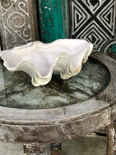 Load image into Gallery viewer, Shell Resin Stone Ruffled giant Clam 23cm
